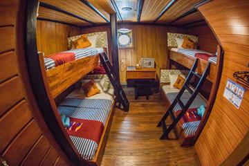 Single Lower Deck Cabin