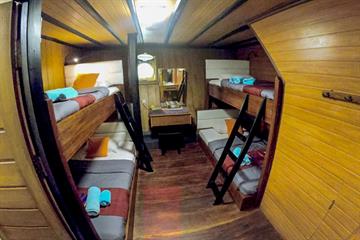 Lower Deck Single Cabin