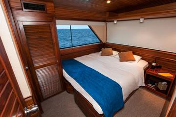 Dolphin deck Cabins