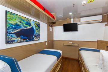 Main Deck Deluxe Cabin