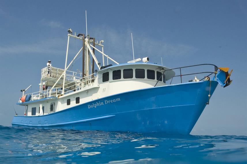 The Dolphin Dream Liveaboard takes guests diving in the Bahamas